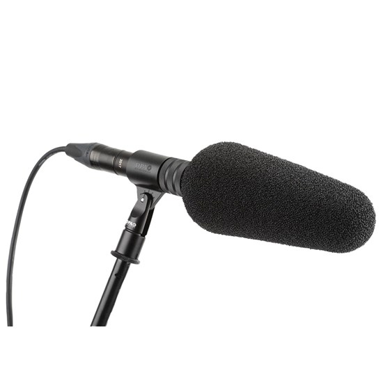 DPA 2017 Supercardioid Shotgun Condenser Microphone