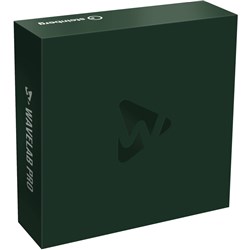 Steinberg Wavelab Pro 10 Audio Editing Software