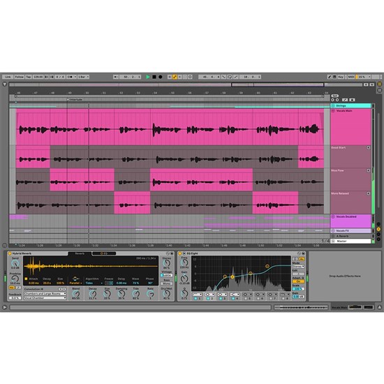 Ableton Live 11 Standard Music Music Production Software (eLicense Download Code Only)