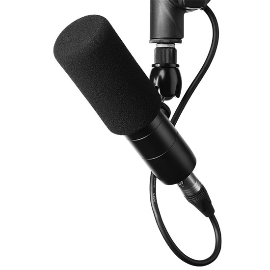 Earthworks Audio ETHOS Broadcast Quality Condenser Microphone (Matte Black)