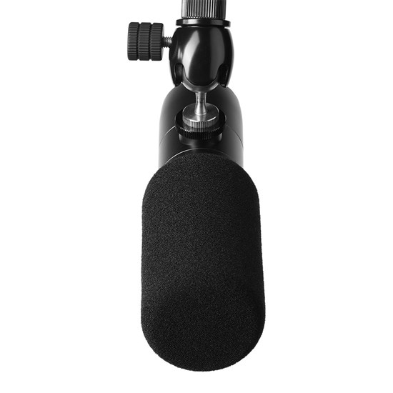 Earthworks Audio ETHOS Broadcast Quality Condenser Microphone (Matte Black)