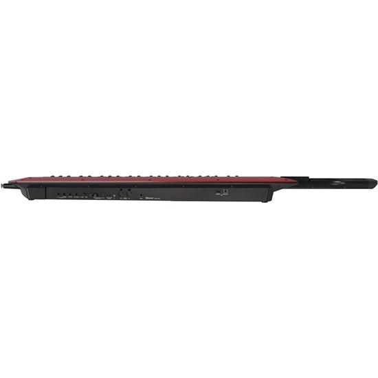 Roland AX-Edge 49-Note Keytar w/ Synth-EX Engine & Edge Blades (Black)